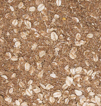 kachelnavi pferdefutter mash